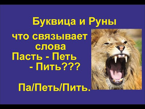 Буквица Покои (лекция 17 (Часть 2)) Что связывает между собой понятие Поэт, Петь, Пить?