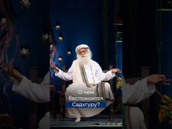 О чем беспокоится Садхгуру?