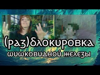 530 (РАЗ)БЛОКИРОВКА ШИШКОВИДНОЙ ЖЕЛЕЗЫ: ОТ НЕДОВЕРИЯ К СЕБЕ В КОНТАКТ С СИЛОЙ * Юлия Юльевна