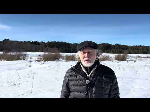 Почему, когда нет плохой кармы и сильная манипура чакра, нет прибыли, нет денег.