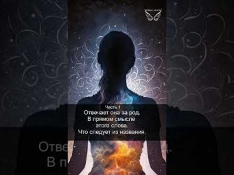 Славянская 12-чакровая система. Чара "Зарод". Часть 1. Продолжение рода. 15/44