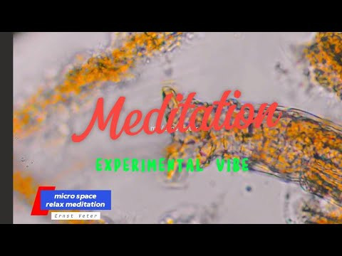 meditation for relax with music