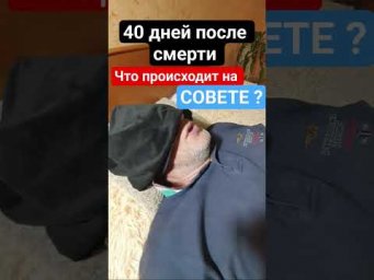 26 февраля 2026 г.