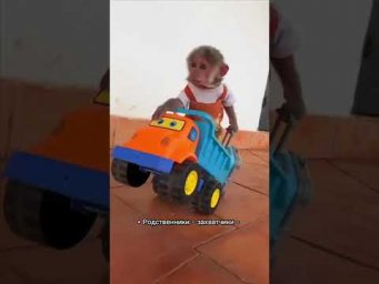 Грабитель Богатства в вашей карте Бацзы