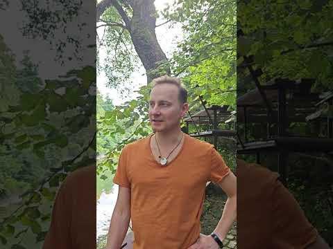 Отзывы по краснодарскому Ретриту ТЕНЬ