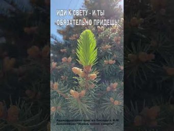 Иди к свету - и ты обязательно придешь! (69)