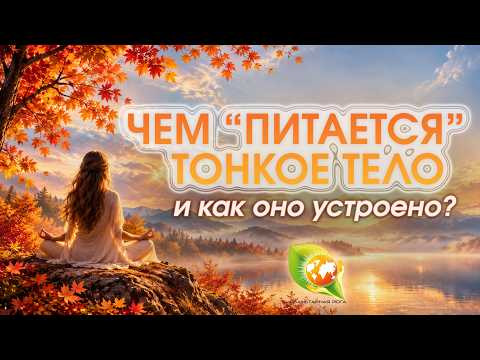 Что такое тонкое тело: чакры и каналы энергии в Йоге