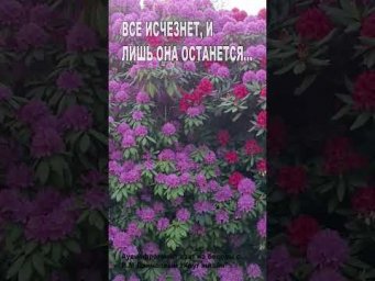 Все исчезнет, и лишь Она останется... (70)