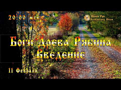 Боги Древа Рябина - Введение. [Ведзнич]