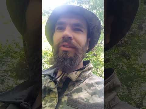 Казимир-Умолишенное принятие испытаний.