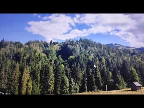 Ластивка-Развязывание кармического узла.