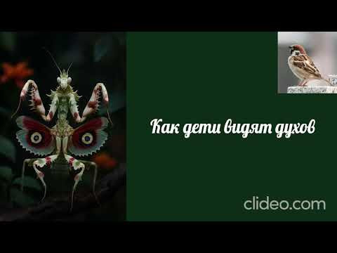 Воробушек-Как дети видят духов