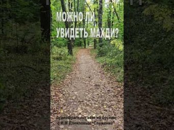 Можно ли увидеть Махди? (197)