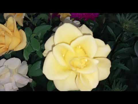О коллективной ответственности, или мне все должны