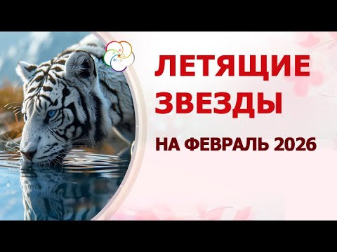ФЭН ШУЙ 2026: прогноз по летящим звездам на ФЕВРАЛЬ 2026
