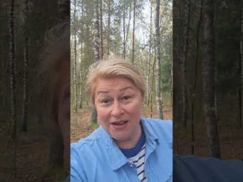 Грибы 