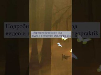 Заблуждения по раскрытию и принятию дара рода.