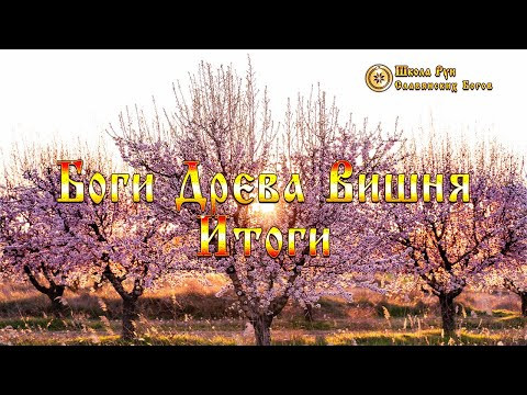 Боги Древа Вишня - Итоги. [Ведзнич]