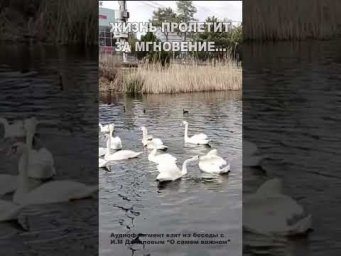 Жизнь пролетит за мгновение... (7)