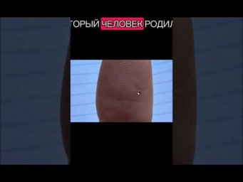 17 ноября 2025 г.