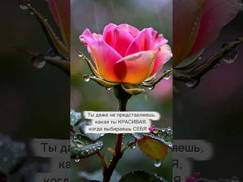 #исполнениежеланий #раскрытиесердца #пробуждение #психология #материализациямыслей #желания #душа #исполнениежеланий #раскрытиесердца #пробуждение #психология #материализациямыслей #желания #душа