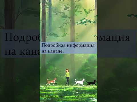 Почему целители и ясновидящие не стремятся помогать своим родственникам?