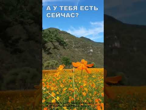 А у тебя есть сейчас? (17)