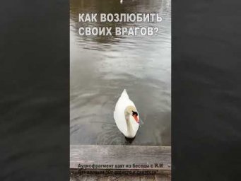 Как возлюбить своих врагов? (37)