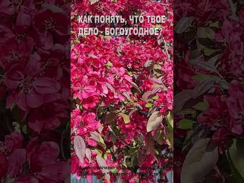 Как понять, что твое дело - богоугодное? (33)