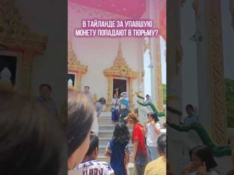Почему за упавшую монету в Тайланде можно попасть в тюрьму?