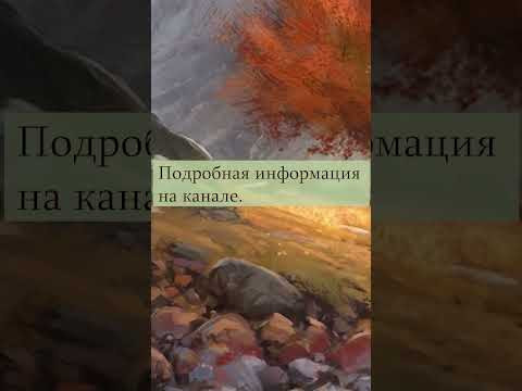 Тест на энергию эфира  можете ли вы работать с эфирным полем?