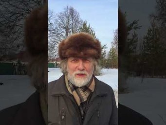 Грачи прилетели
