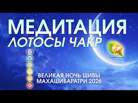 Медитация Лотосы чакр / Годичный лунный календарь медитаций и развития 2026 Медитация Лотосы чакр / Годичный лунный календарь медитаций и развития 2026