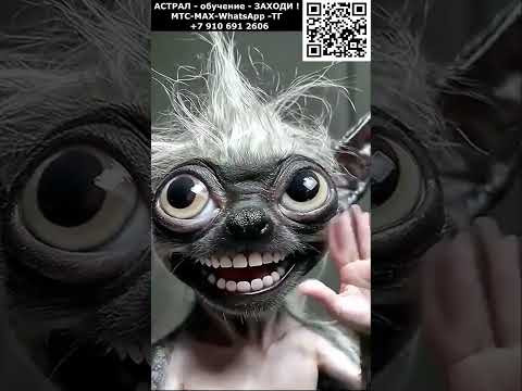 Монстры и мутанты. Красивое астральное видео. ИИ. Арт нейросеть. фэнтези #реальность #фэнтези #ИИ