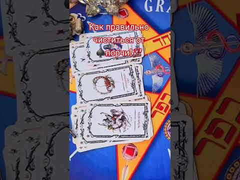 как правильно чиститься от порчи! #анжеламанвелян #таролог #таро #tarot #гадание как правильно чиститься от порчи! #анжеламанвелян #таролог #таро #tarot #гадание