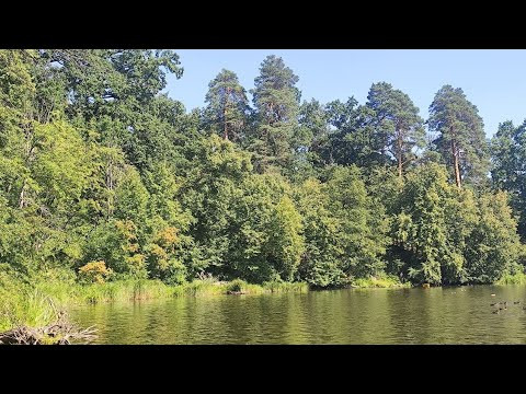 Ластивка-Знаки и Энергия затмений солнечного и лунного в августе.