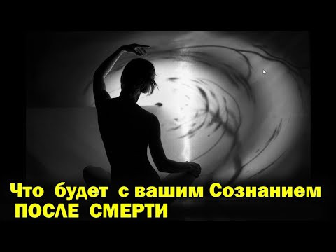 Аркан Шут - что будет с вашим сознанием после Смерти ✅ - семинар онлайн Аркан Шут - что будет с вашим сознанием после Смерти ✅ - семинар онлайн