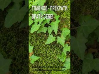 Главное - прекрати врать себе! (172)