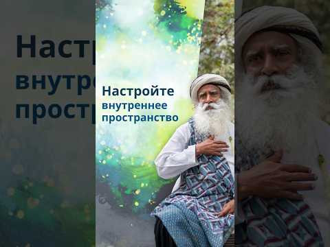 Почему реальность &mdash; это то, что происходит внутри