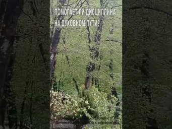 Помогает ли дисциплина на духовном пути? (50)