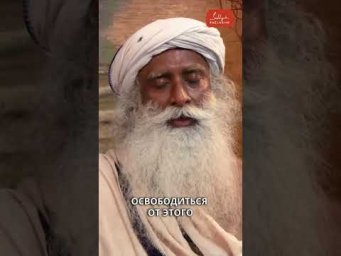 Ты &mdash; не твоя память