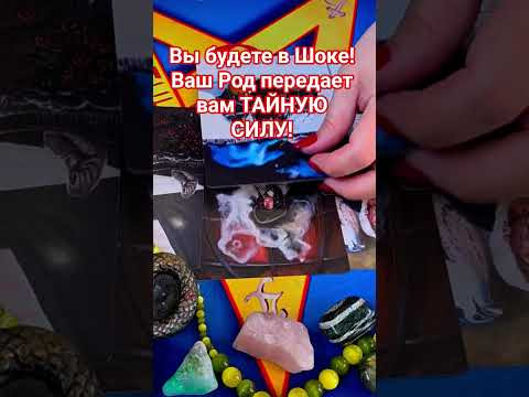 ВЫ БУДЕТЕ В ШОКЕ! ВАШ РОД ПЕРЕДАЕТ ВАМ ТАЙНУЮ СИЛУ! #анжеламанвелян #таро #tarot ВЫ БУДЕТЕ В ШОКЕ! ВАШ РОД ПЕРЕДАЕТ ВАМ ТАЙНУЮ СИЛУ! #анжеламанвелян #таро #tarot
