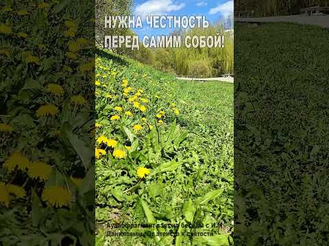 Нужна честность перед самим собой! (54)
