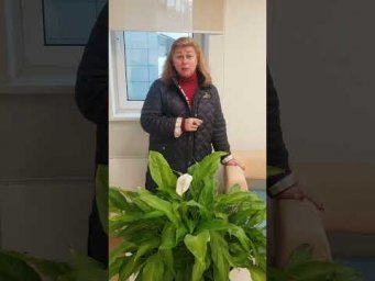 Про МЕСТА СИЛЫ 