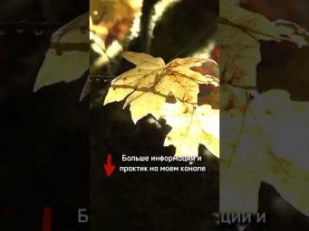 Как получать энергию с помощью практик? Мало энергии, научитесь ее набирать и прокачивать!