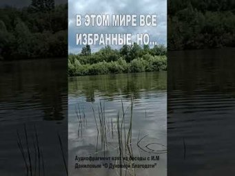 В этом мире все избранные, но... (113)