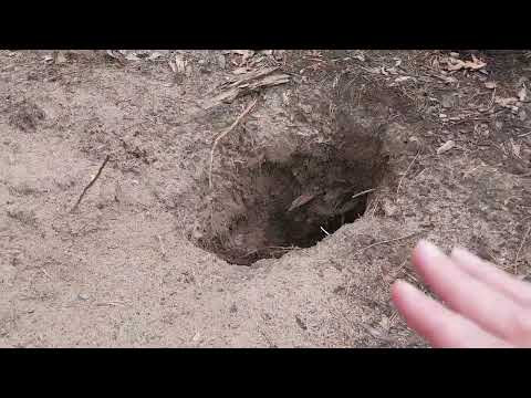 Мощная Руническая чистка