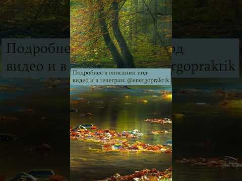 Энергетические привязки по 1 чакре муладхаре. Куда уходит жизненная сила?