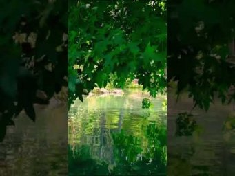 Свойства зеленой энергии любовь  сострадание и душевное спокойсвие