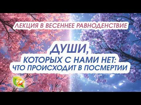 Души, которых с нами нет: что происходит после смерти и как это влияет на нас Души, которых с нами нет: что происходит после смерти и как это влияет на нас